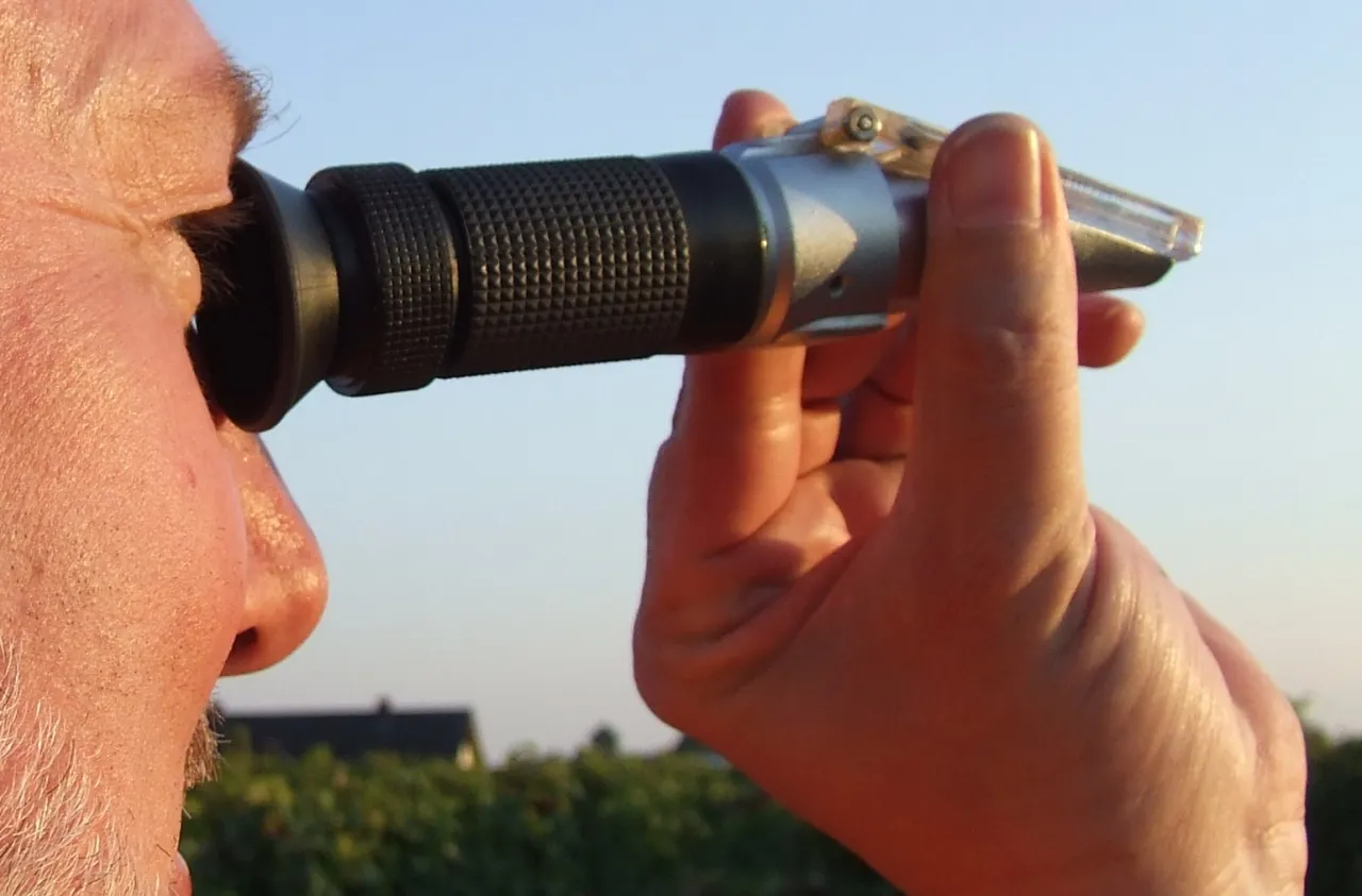 Zdjęcie Ile cukru ma wino wytrawne? Zaskakujące fakty o jego zawartości