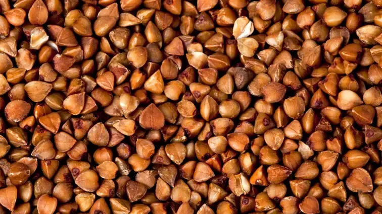 Zdjęcie Czy pies może jeść kaszę? Bezpieczne rodzaje i ważne wskazówki