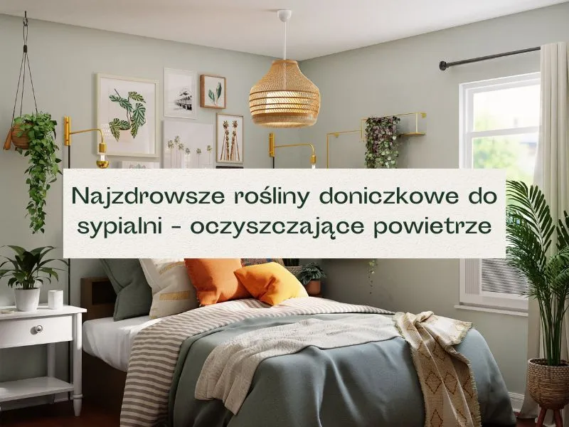 Zdjęcie Jakie rośliny do sypialni wybrać, by poprawić jakość powietrza?