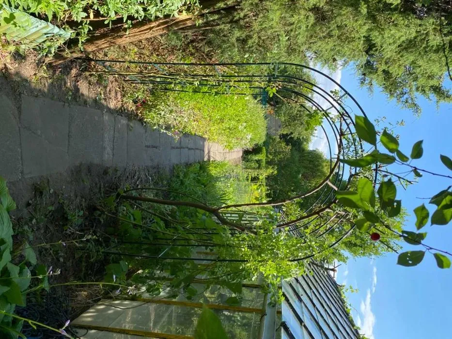 Zdjęcie Najlepsze kotwy w Krakowie - wybierz odpowiednie dla swojego projektu