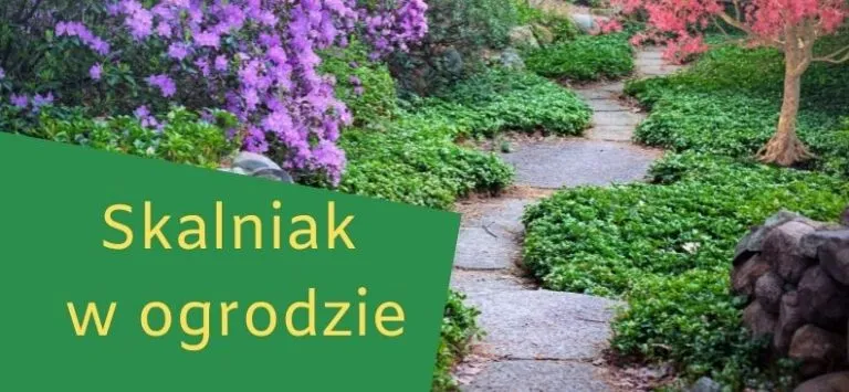 Zdjęcie Jak zrobić skalniak z kwiatami – proste kroki i błędy, których unikać