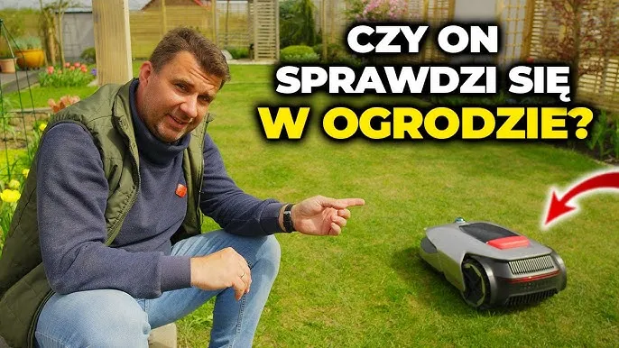 Zdjęcie Kosiarka co sama kosi – jak ułatwić sobie życie w ogrodzie