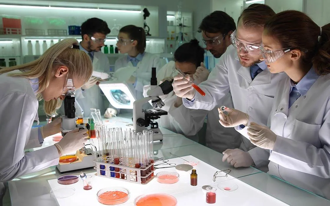 Zdjęcie Job mit Abitur: Top Berufe und Karrierechancen für Abiturienten