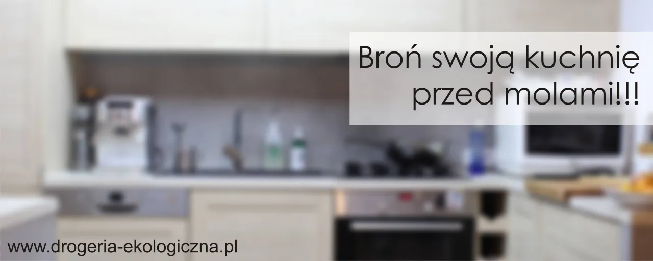 Zdjęcie Skuteczne sposoby na mole w kuchni - jak je wytepić raz na zawsze