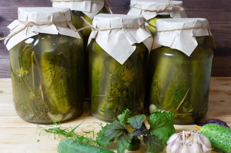 Zdjęcie Dlaczego woda w ogórkach kiszonych jest mętna? Oto prawda o fermentacji