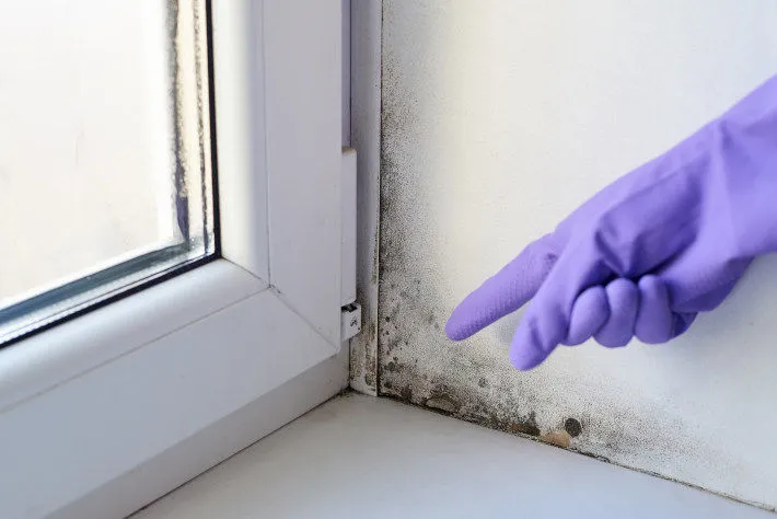 Zdjęcie Jak usunąć pleśń z silikonu na oknie - skuteczne metody i porady