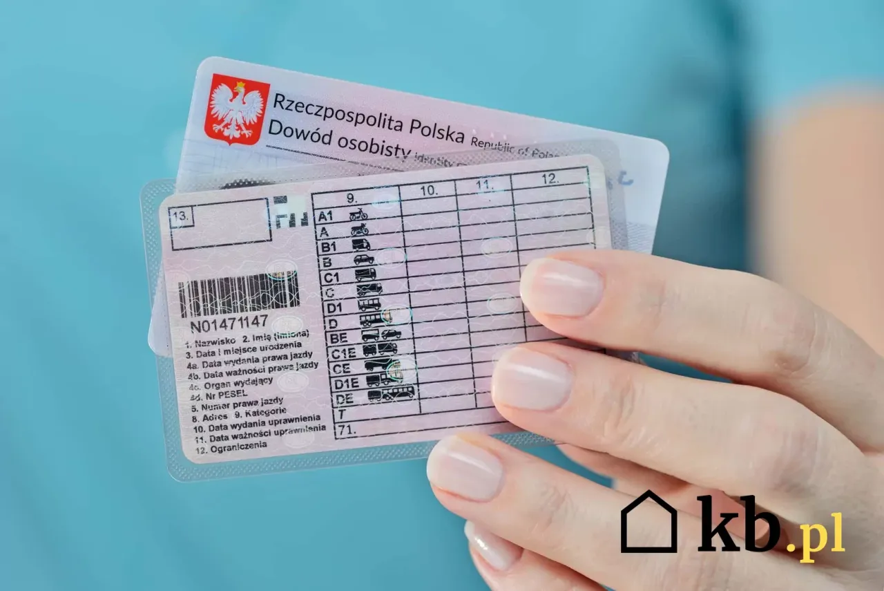 Zdjęcie Jakie prawo jazdy na koparko-ładowarkę? Wymagania i proces