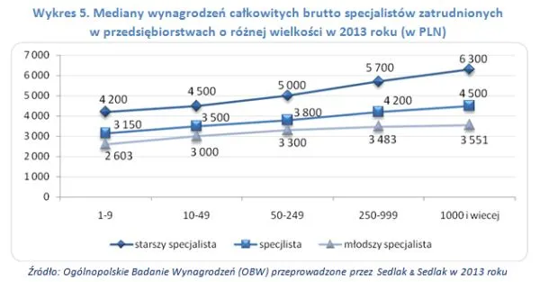 Zdjęcie Zarobki specjalisty ds windykacji - realne stawki na każdym szczeblu kariery