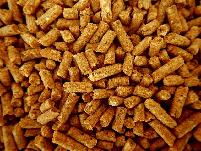 Zdjęcie Co to jest pelet i ile kosztuje: aktualne ceny za tonę pelletu w Polsce
