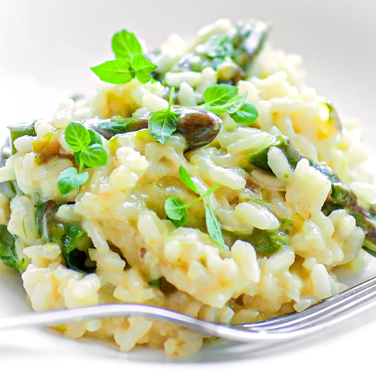 Zdjęcie Jak podgrzać risotto, aby zachować jego smak i konsystencję