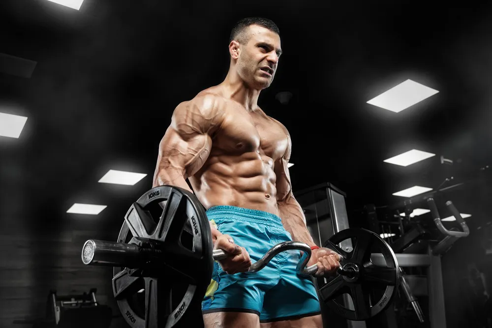 Zdjęcie Jak często ćwiczyć biceps, aby uniknąć stagnacji w treningu?