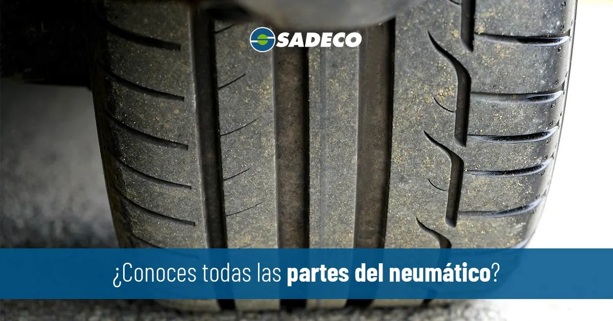 Zdjęcie Partes del neumático: conoce sus componentes y evita problemas comunes