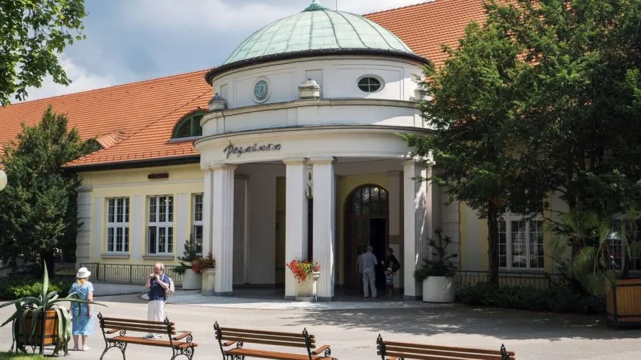 Zdjęcie Sanatoria NFZ w Jedlinie-Zdroju: Gdzie szukać pomocy zdrowotnej?