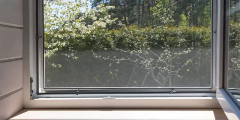 Zdjęcie Jaka moskitiera na okno? Wybierz najlepszą ochronę przed owadami