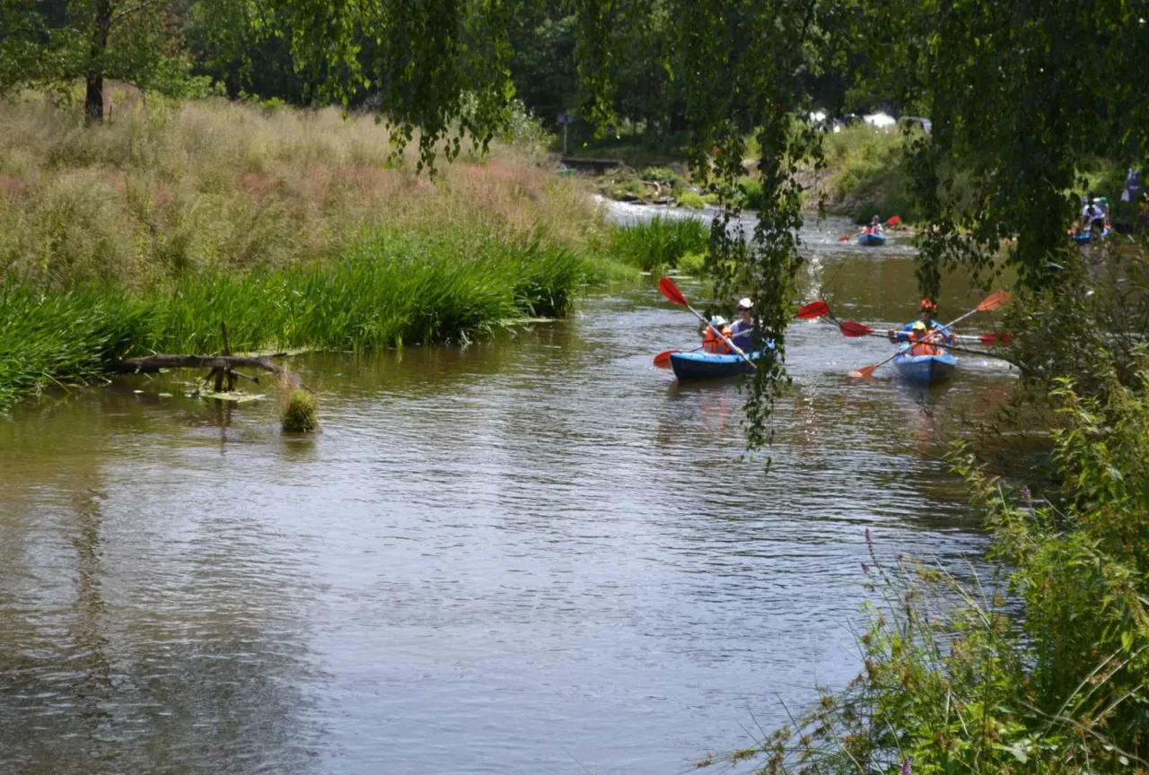 Zdjęcie Spływ kajakowy Zawadzkie: Trasy, Ceny i Poradnik