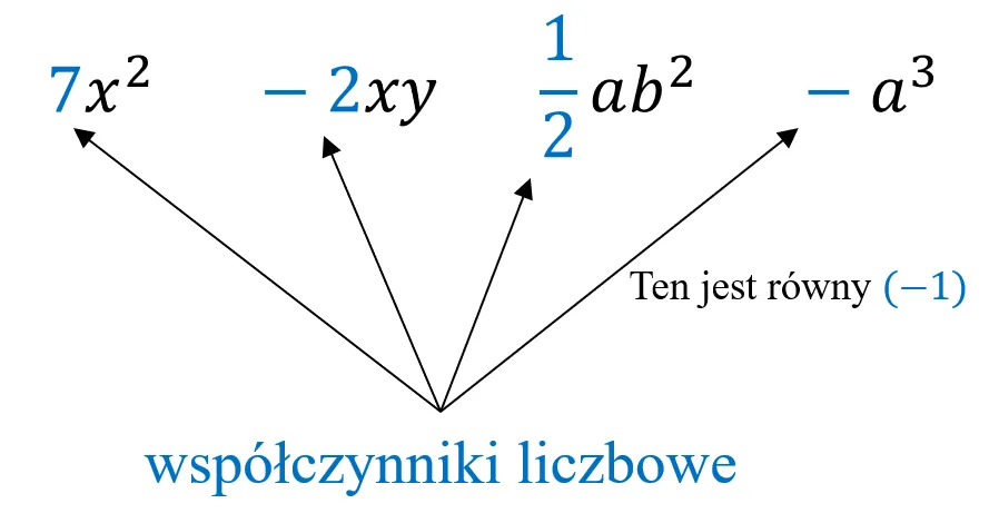 Zdjęcie Suma algebraiczna co to? Zrozumienie kluczowych pojęć i przykładów