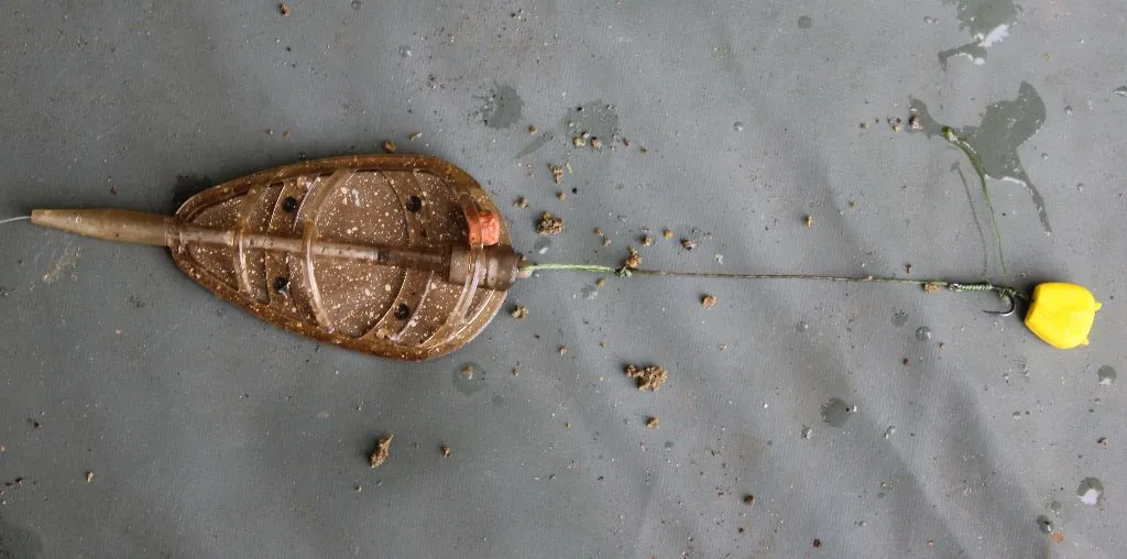 Zdjęcie Jak zakładać kukurydzę na haczyk, aby nie tracić ryb i zwiększyć skuteczność