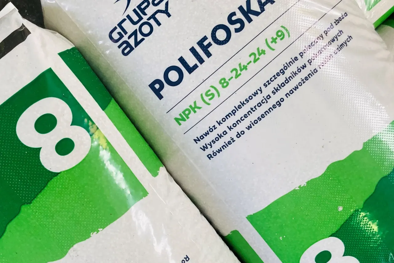 Zdjęcie Jaki nawóz pod rzepak ozimy zapewni najwyższe plony? Kluczowe informacje