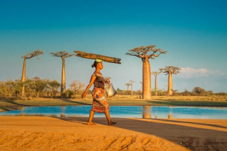 Zdjęcie Najlepsze atrakcje na Madagaskarze, które musisz zobaczyć podczas wakacji