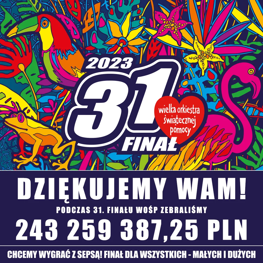 Zdjęcie Ile WOŚP bierze dla siebie? Przejrzystość finansowa i koszty działalności