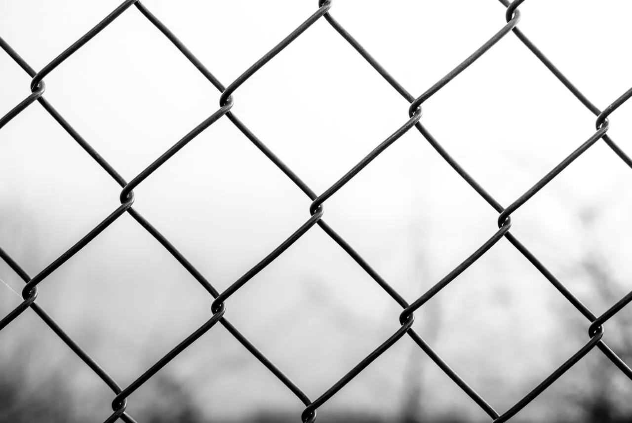 Zdjęcie Ogrodzenie z siatki: jak uniknąć błędów przy ustawianiu słupków