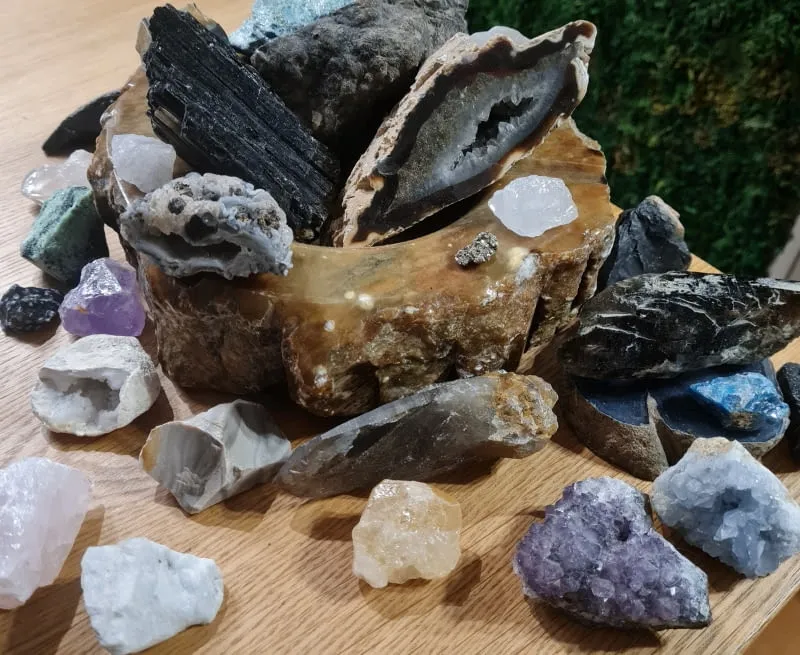 Zdjęcie Jakie kamienie można znaleźć w lesie? Odkryj cenne skarby natury