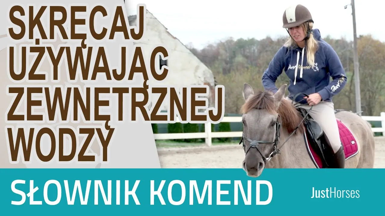 Zdjęcie Jak skręcać koniem łydkami: unikaj powszechnych błędów w jeździe