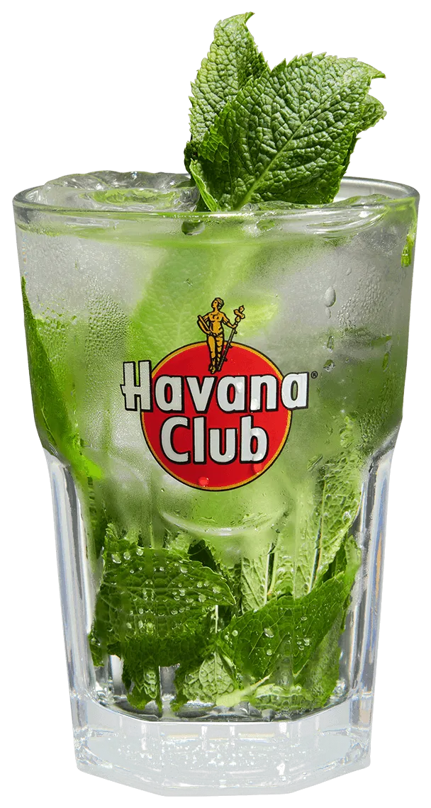 Zdjęcie Mojito drink jaki rum - najlepszy wybór rumu do idealnego koktajlu