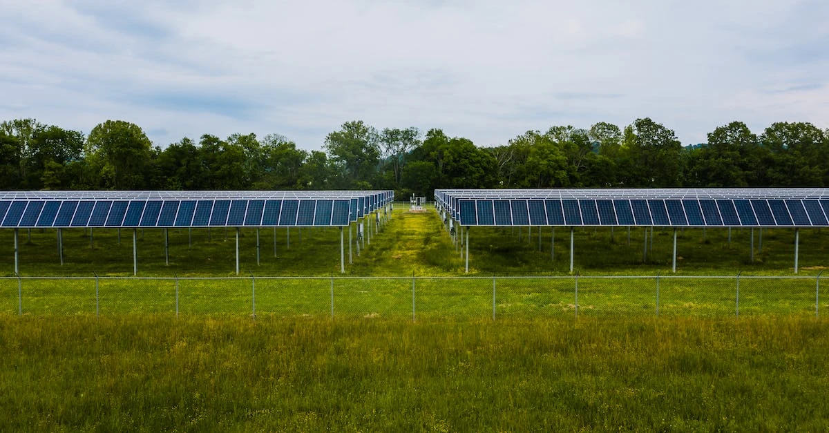 Zysk z farmy PV 1MW Ile można zarobić na farmie 1MW