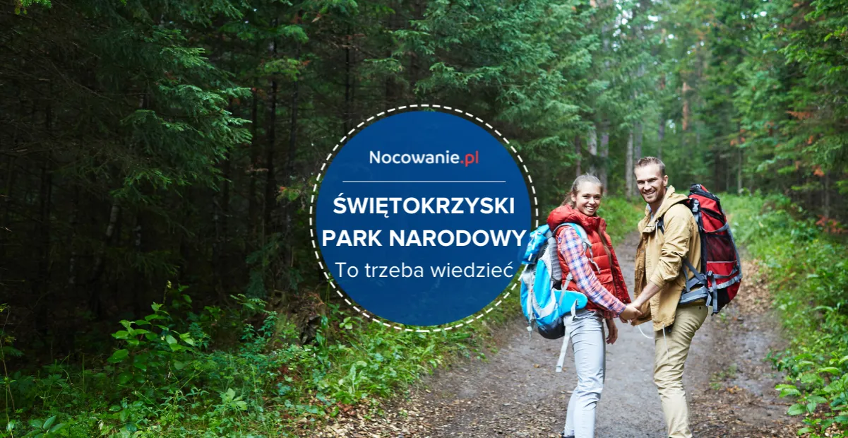 Zdjęcie Jakie zwierzęta żyją w Świętokrzyskim Parku Narodowym? Odkryj bogactwo fauny