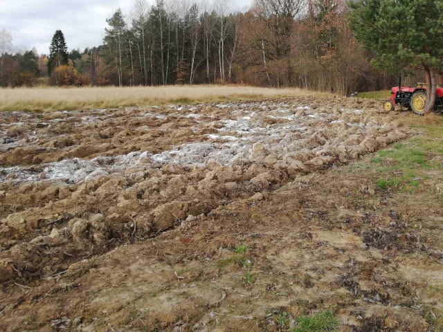 Zdjęcie Wybierz najlepsze wapno do ogrodu: rodzaje i zastosowanie na każdą glebę