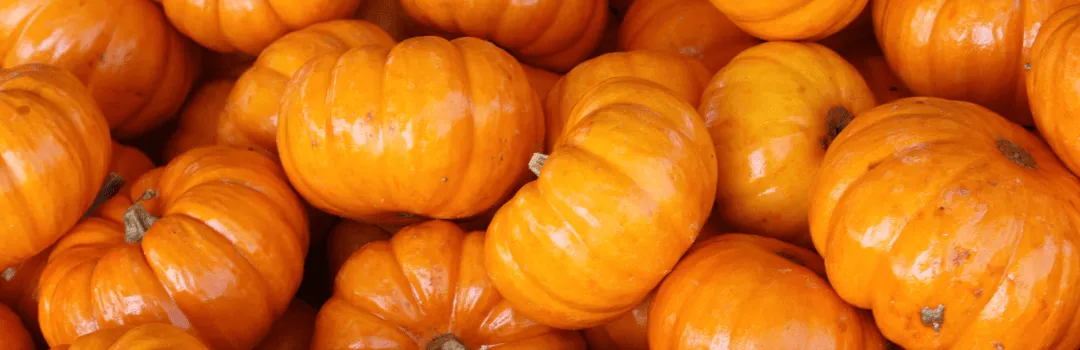 Zdjęcie Dynia Hokkaido: IG wysoki, ŁG niski. Bezpieczna dla cukrzyków?