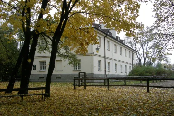 Zdjęcie Muzeum jeździectwa w Warszawie: Odkryj fascynującą historię koni