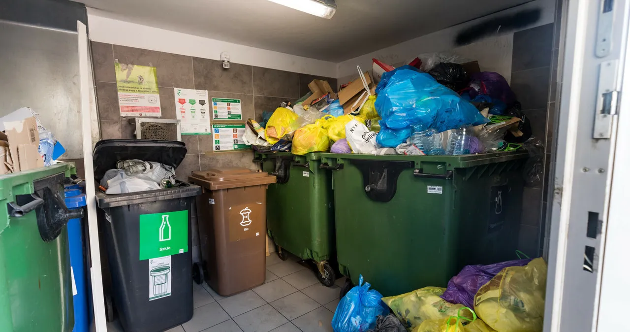 Zdjęcie Gdzie wyrzucić kuchenkę gazową? Sprawdź, jak uniknąć kary i zrobić to legalnie