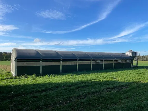 Zdjęcie Kurnik mobilny: Jakie są jego zalety, wady i zastosowania dla hodowców?