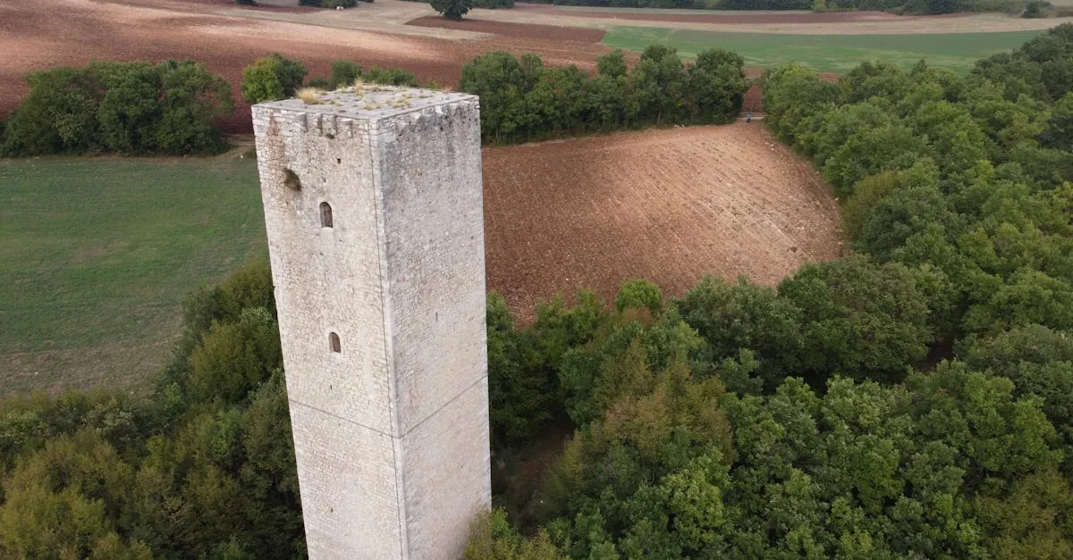 Zdjęcie Zamek w Koninie: Czy miasto nad Wartą miało swoją twierdzę?