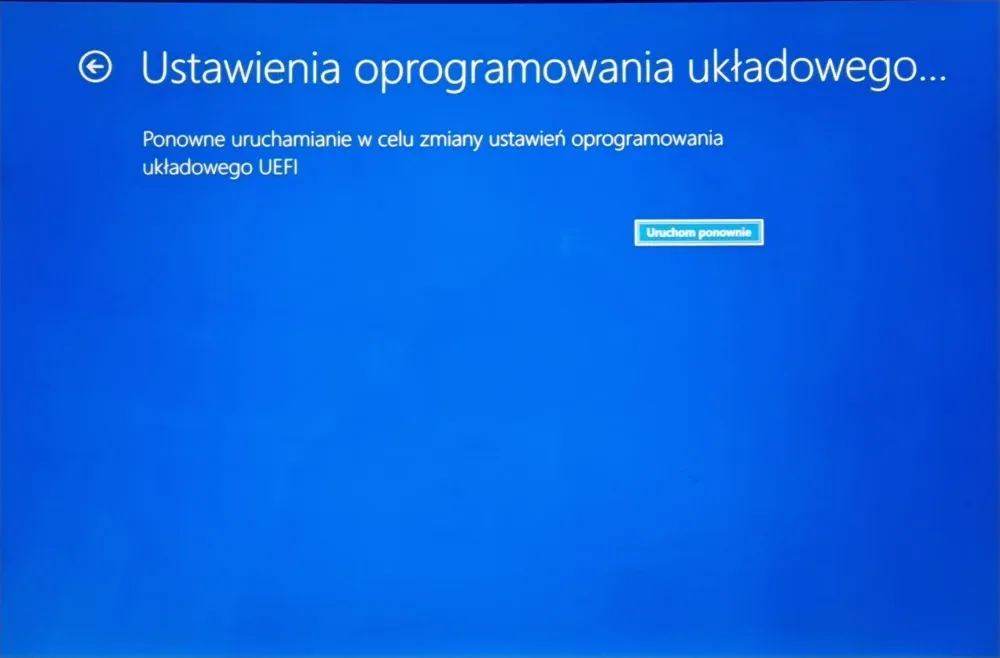 Zdjęcie Jak wejść do biosu w Windows 10: proste metody, które działają