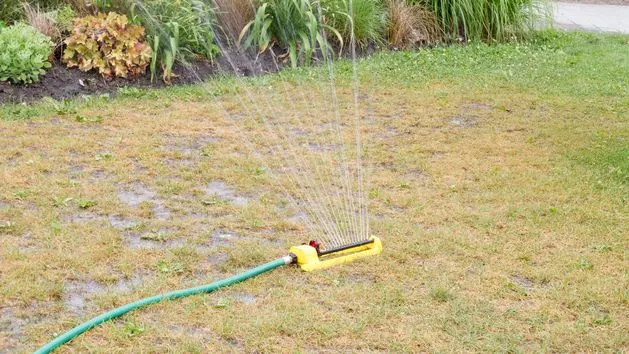 Zdjęcie Jaki wąż do zraszacza? Uniknij błędów i podlewaj jak ekspert!
