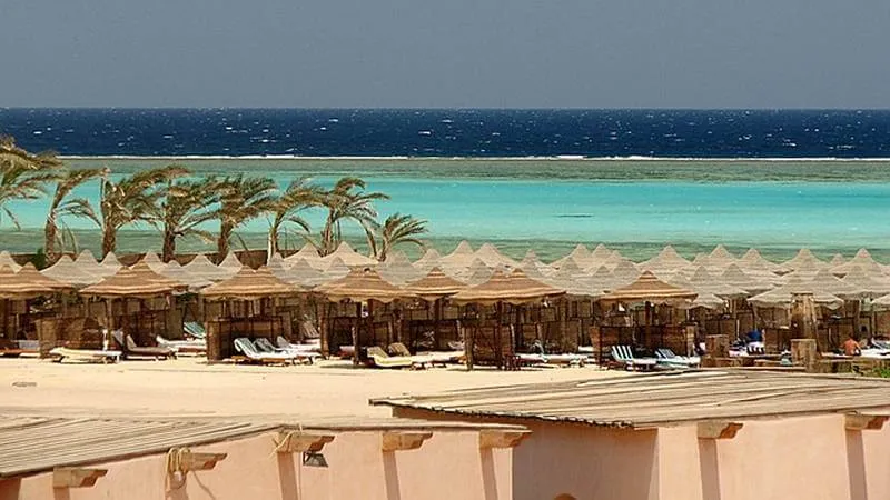 Zdjęcie Najlepsze atrakcje w Marsa Alam: nurkowanie, rafy i lokalna kultura