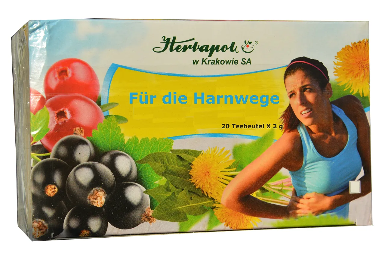 Zdjęcie Welcher Tee spült die Nieren? Die besten Tees für gesunde Nieren