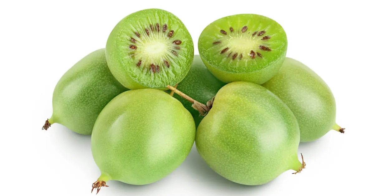 Zdjęcie Jak uprawiać mini kiwi: proste sposoby na zdrowe i smaczne owoce