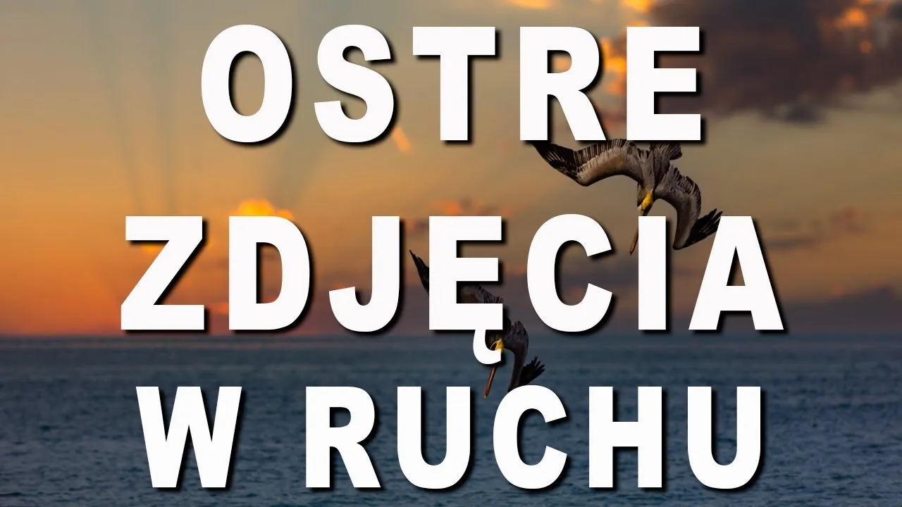 Zdjęcie Jak zrobić zdjęcia w ruchu: proste triki na ostre ujęcia