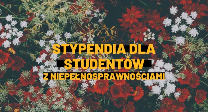 Zdjęcie Stypendium dla niepełnosprawnych studentów - ile wynosi i co warto wiedzieć