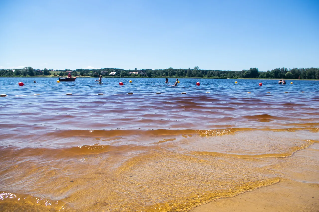 Zdjęcie Jezioro Chechelskie - kompletny poradnik wypoczynku i atrakcji nad wodą