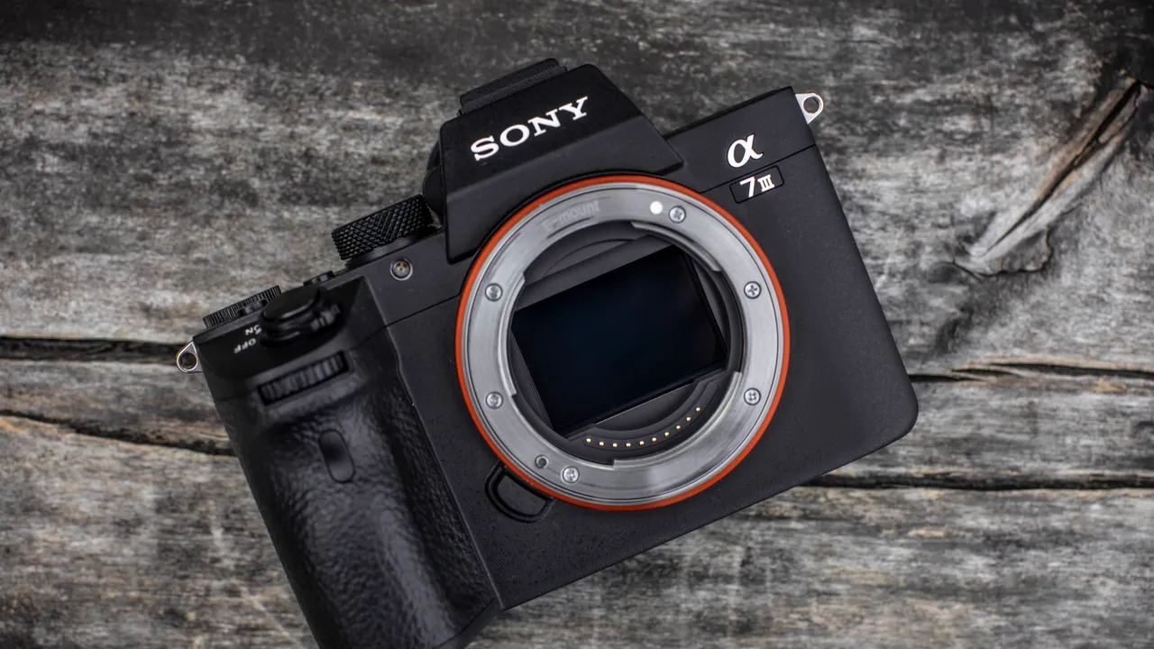 Zdjęcie Sony A6000 czy lustrzanka – który aparat lepiej spełni Twoje oczekiwania?