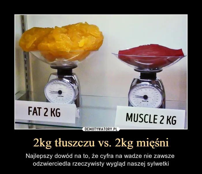 Zdjęcie Kilo mięśni a kilo tłuszczu: Wpływ na sylwetkę i zdrowie