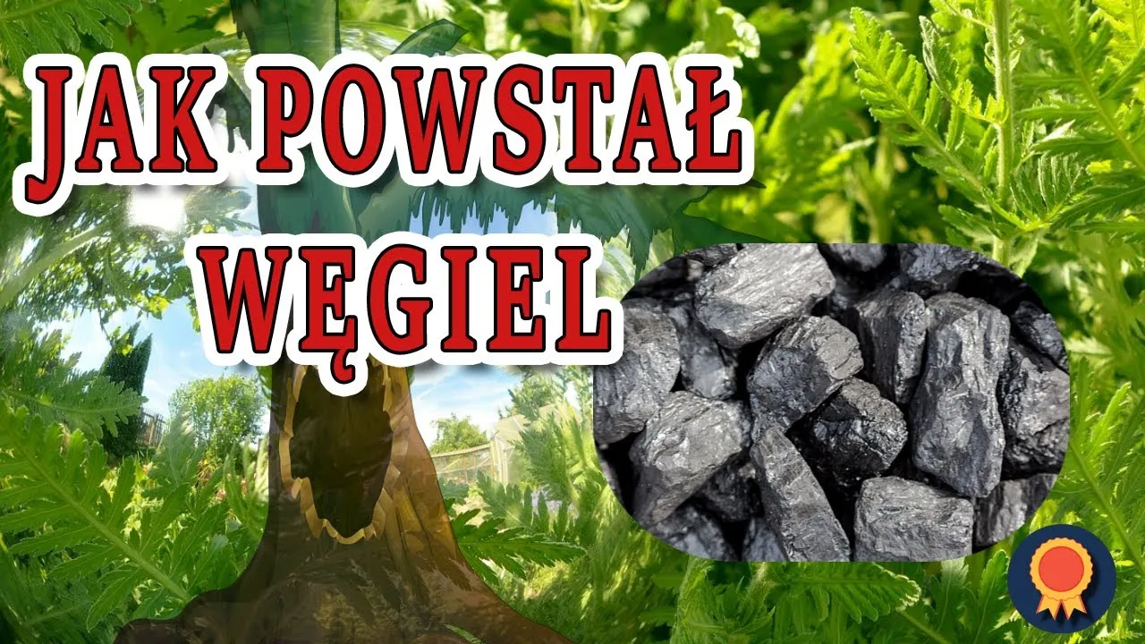 Zdjęcie Jak powstaje węgiel? Fascynujący film edukacyjny dla dzieci
