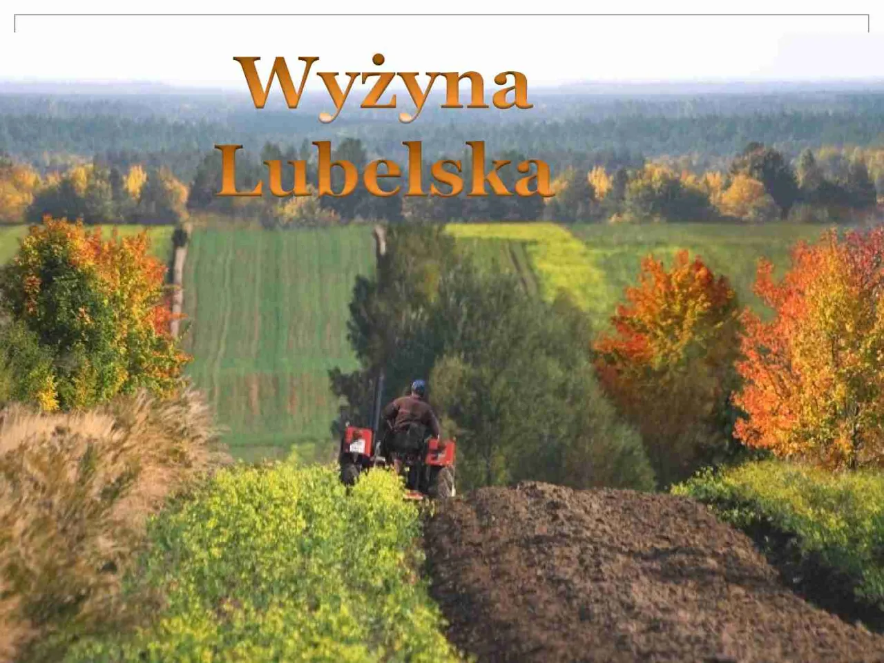 Zdjęcie Czy Ty znasz te 7 fascynujących ciekawostek o Wyżynie Lubelskiej?