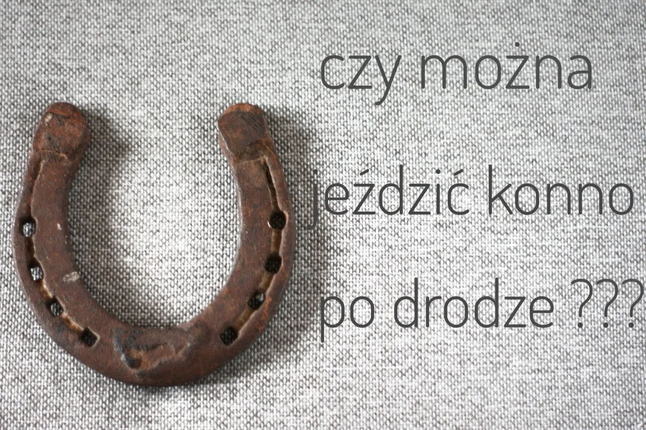 Zdjęcie Gdzie można jeździć konno? Odkryj najlepsze miejsca na jazdę w Polsce