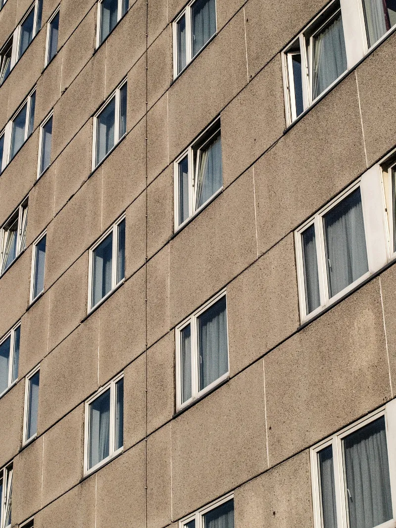 Zdjęcie Jak dokarmiać ptaki na balkonie: sprawdzone metody i porady
